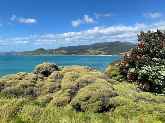Waimamaku Coastal Track-Opononi必去景点