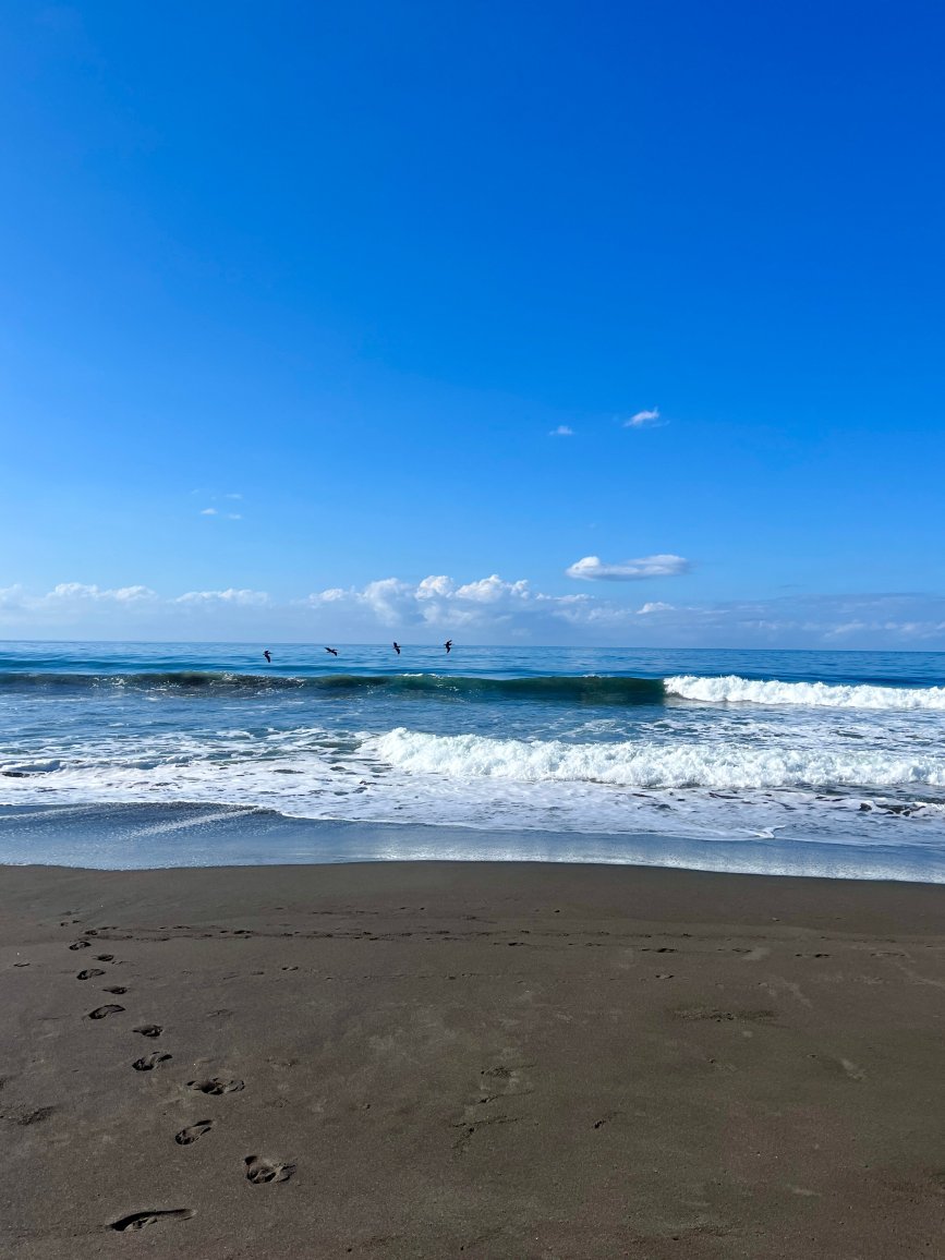 Hermosa Beach House-官方