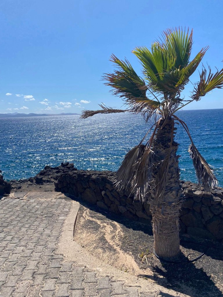 Hipotels Natura Palace-官方