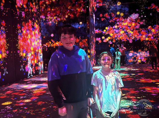 Teamlab Borderless Tokyo-港区必去景点