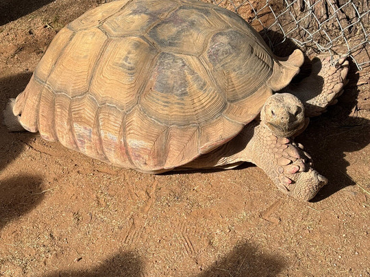 Southwest Wildlife Conservation Center-斯科茨代尔必去景点