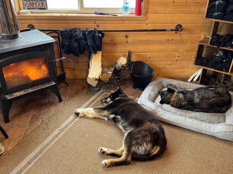 Snowhook Adventure Guides of Alaska-Willow必去景点