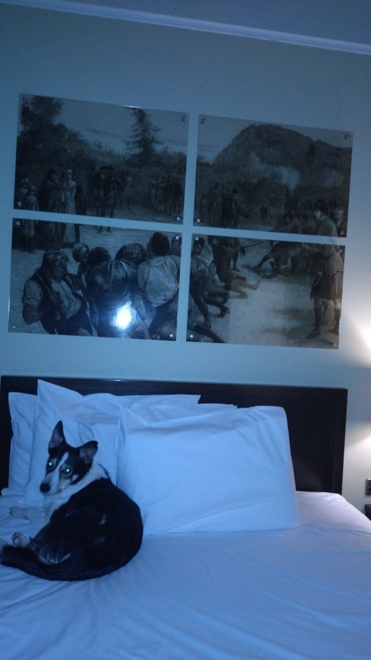 狩猎塔酒店-官方