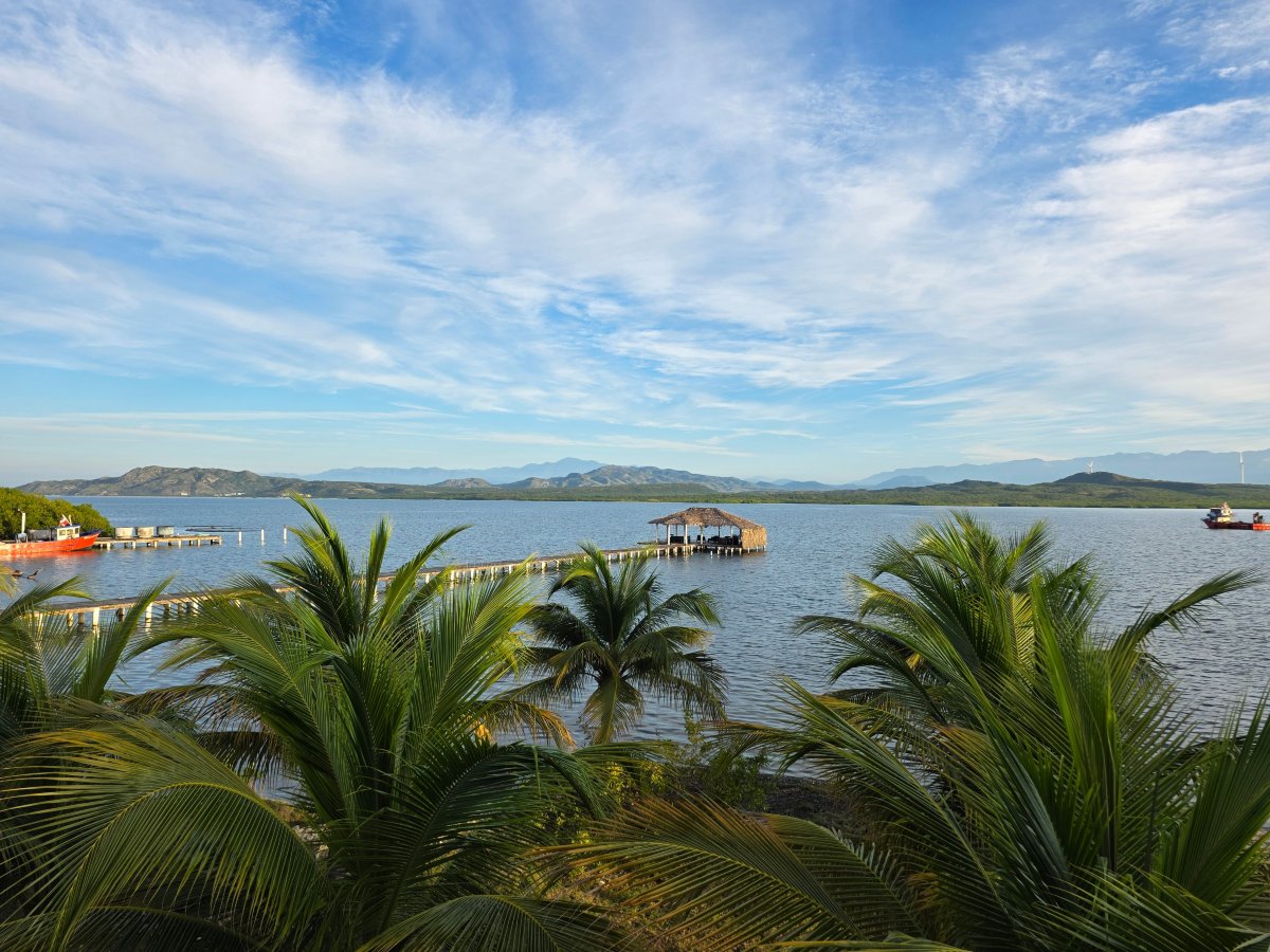 萨瓦萨利纳斯酒店-酒店景观