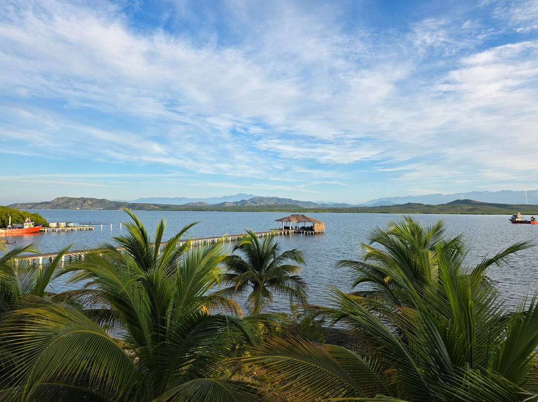 萨瓦萨利纳斯酒店主图