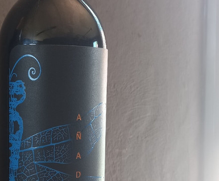 Bodega Atilio Avena-门多萨必去景点