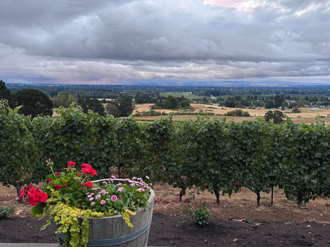 RH Wines-塞勒姆必去景点