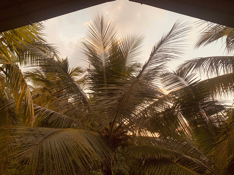 Wild View Stay主图