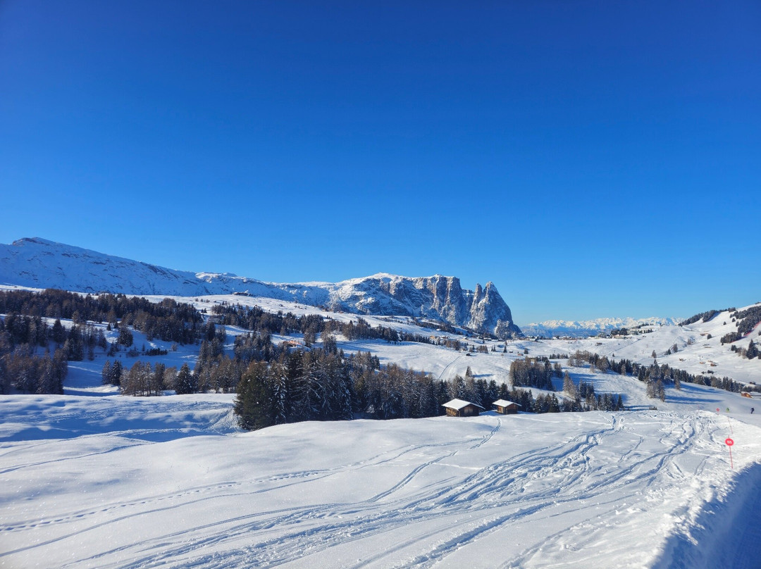 Alpe di Siusi-Alpe di Siusi必去景点