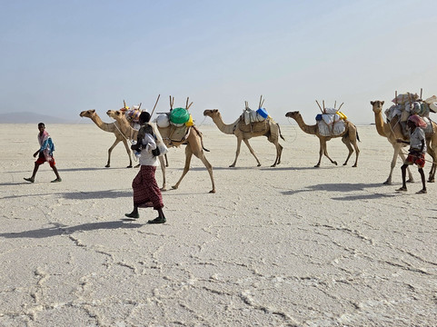 Ecotravel Ethiopia Tours and car rental-亚的斯亚贝巴必去景点