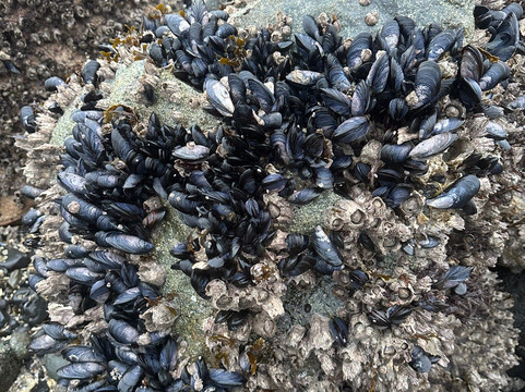 Outlook Park-Petersburg必去景点