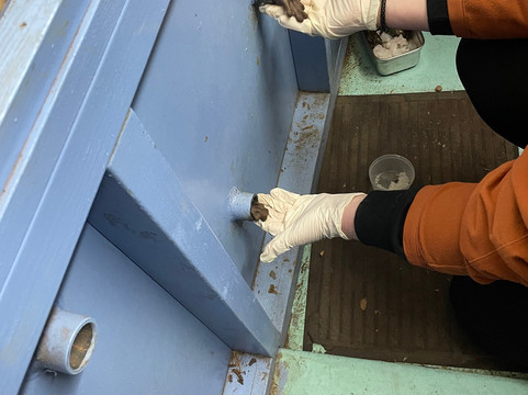 Oceanarium-伯恩茅斯必去景点