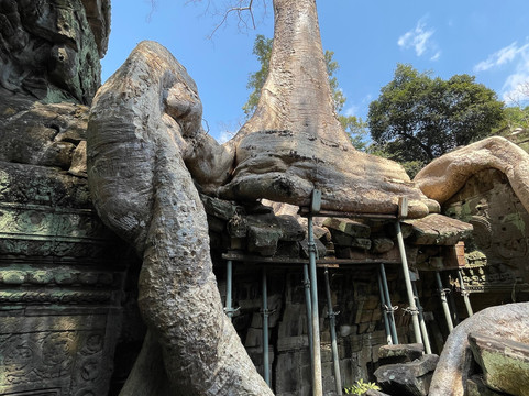 Sophara Tour Travel In Cambodia-暹粒必去景点