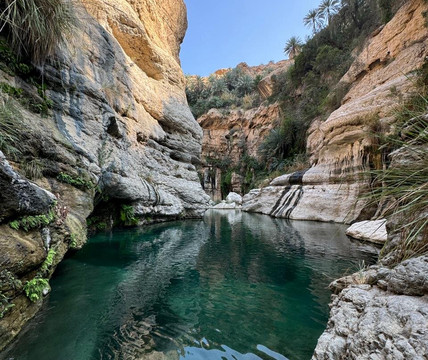 Wadi Tiwi-提维必去景点