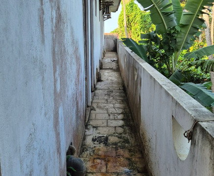 Green Shadows Beach Hotel主图