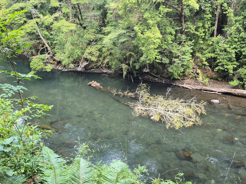 Vortice Park-Curacautin必去景点