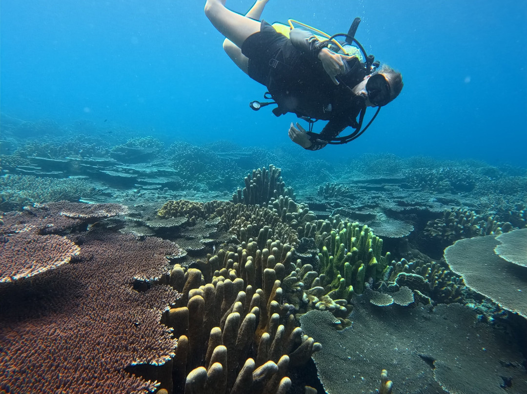 Miguel's Diving Gorontalo-哥伦打洛必去景点