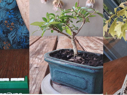 Forest Fiends Urban Farm-Vredenburg必去景点