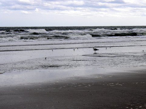 Stone Harbor Point-Stone Harbor必去景点