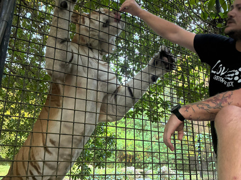 猎豹动物园-桑给巴尔岛必去景点
