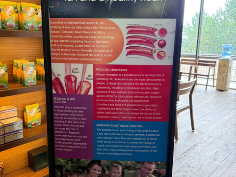 Oak Ray Tea Factory & Museum-拉马伯达必去景点