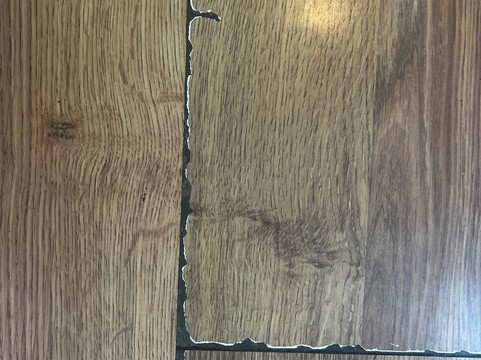 阿姆利则凯悦酒店主图