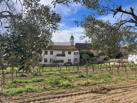 Centre d'Interpretacio De La Malvasia-锡切斯必去景点