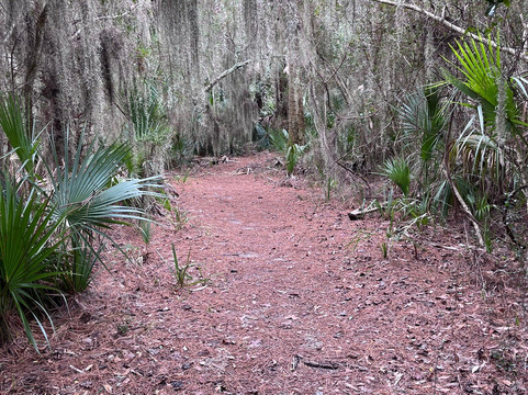 Skidaway Island State Park-萨凡纳必去景点