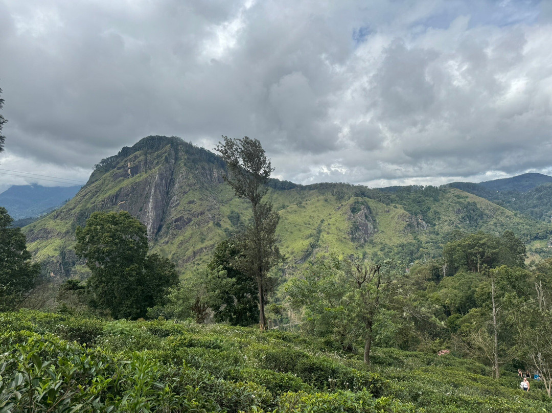 Kokotours (кокотур)-加勒必去景点