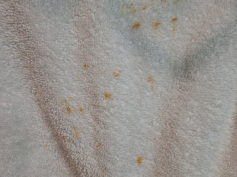 卡皮斯宅邸酒店主图