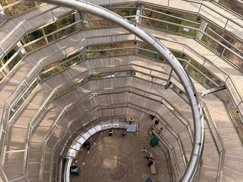 Treetop Walk Avondale-Rathdrum必去景点