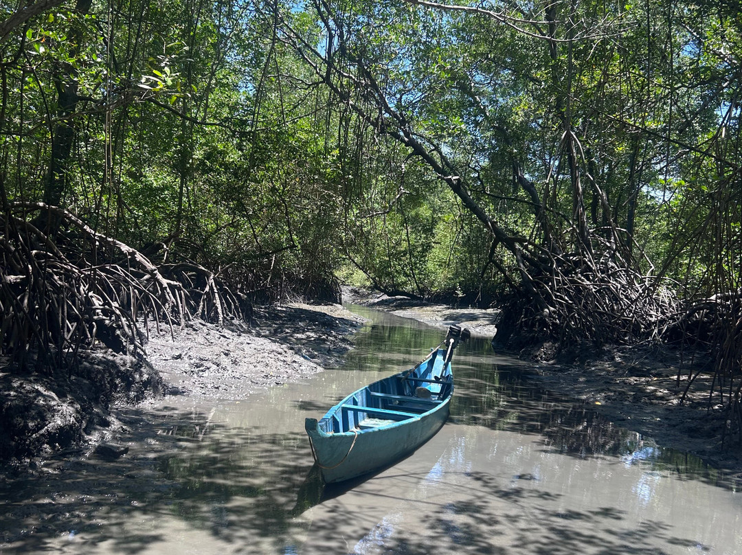 Aventura Eco Brasil-Barra de Sao Miguel必去景点