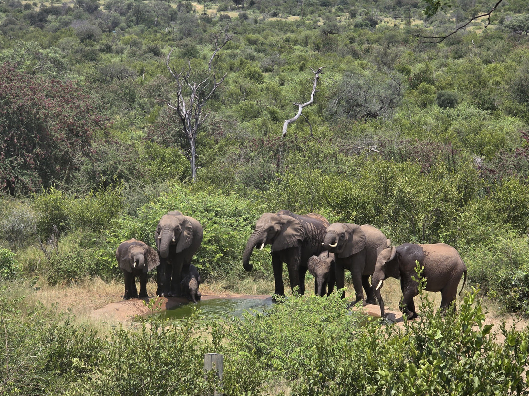 卡萨特甘姆山林小屋主图