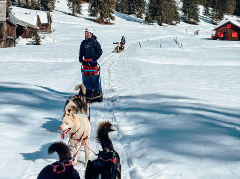 Fischer Adventures Day Tours-圣加仑必去景点