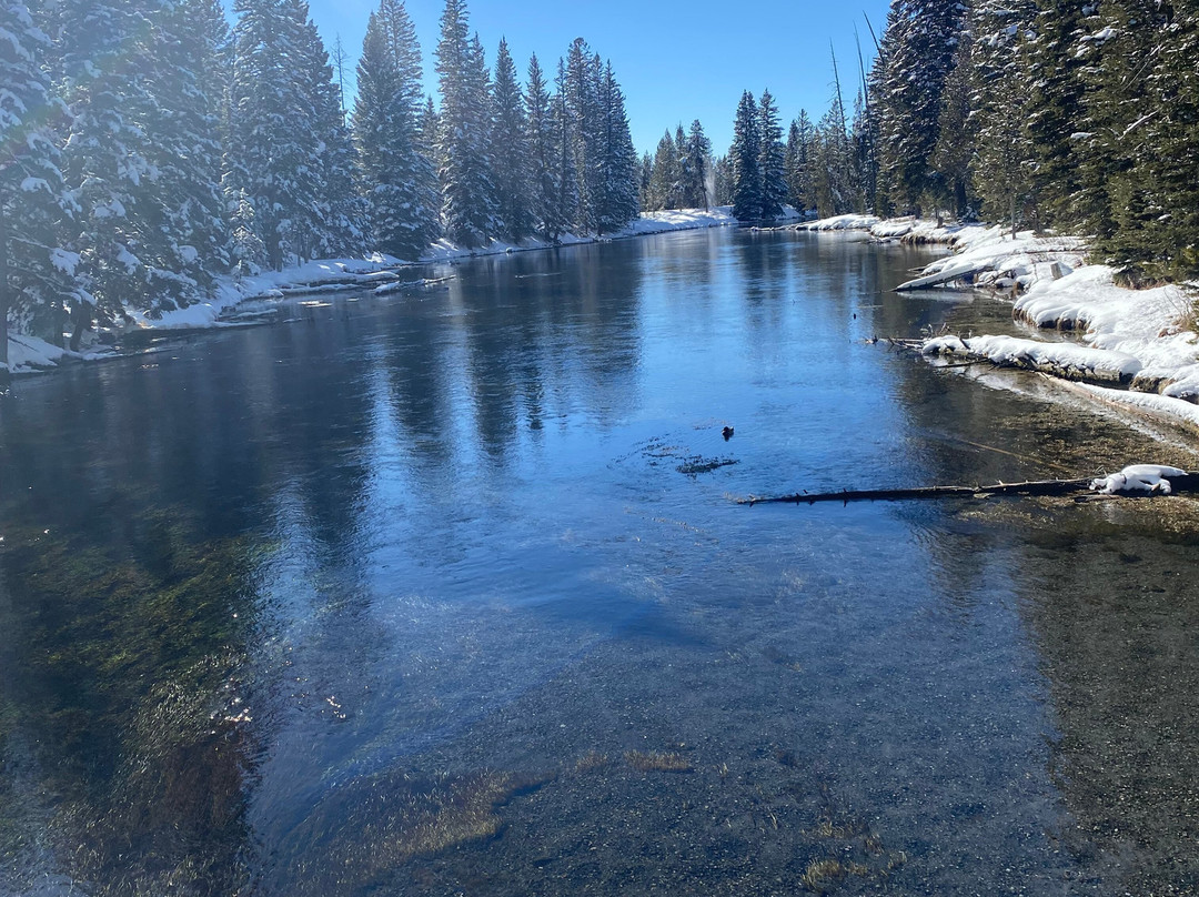 Two Top Snowmobile Rentals and Tours-西黄石镇必去景点