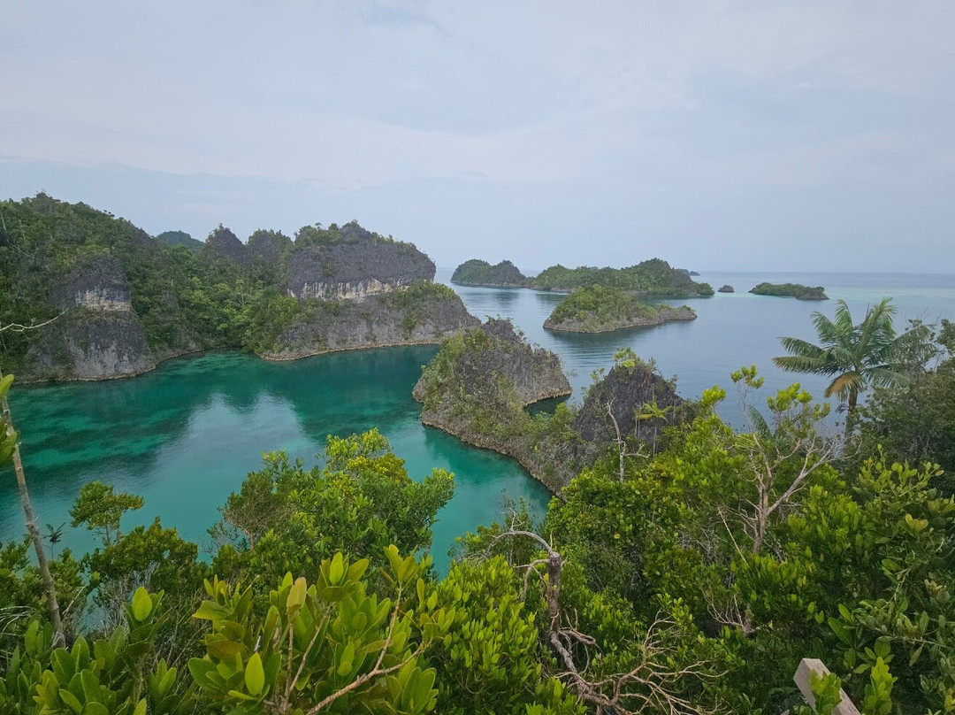 Olin Dive Center-Waisai必去景点