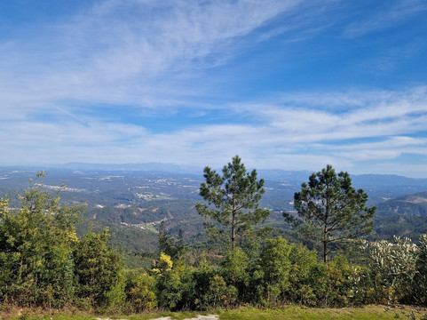 Mata Nacional do Bucaco-卢祖必去景点