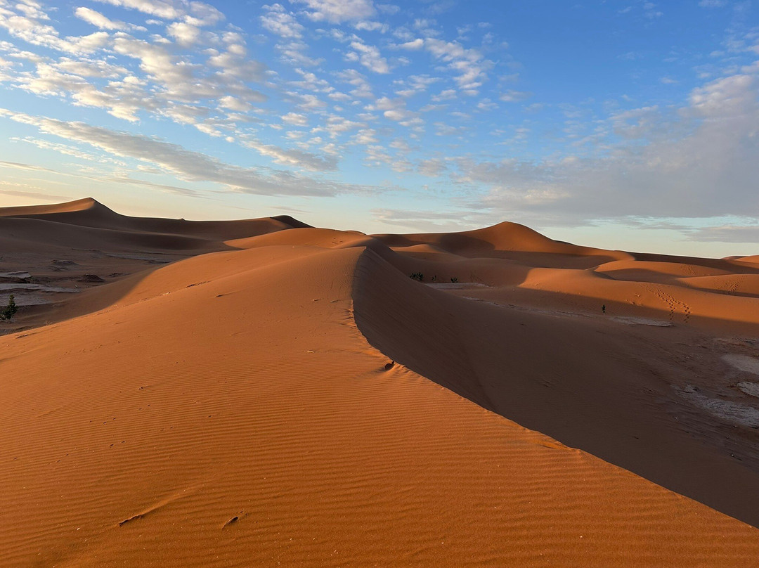 Wild Morocco-扎古拉必去景点