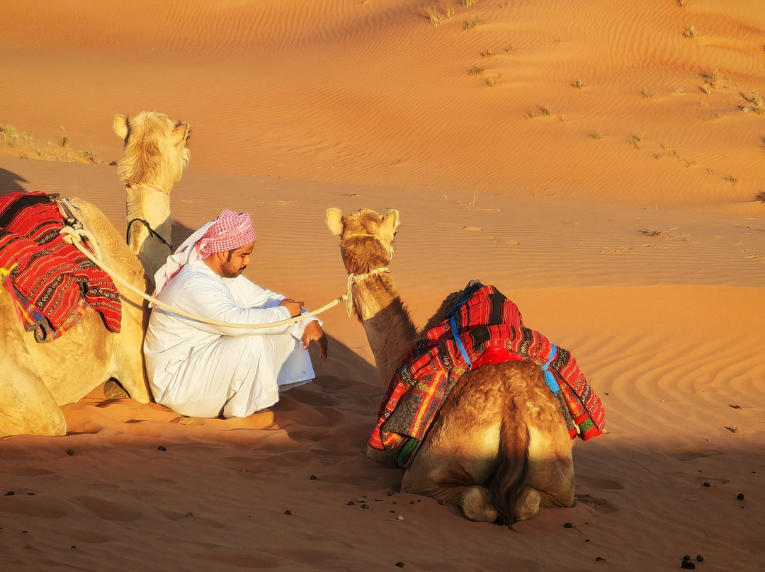 观星私人宿营主图