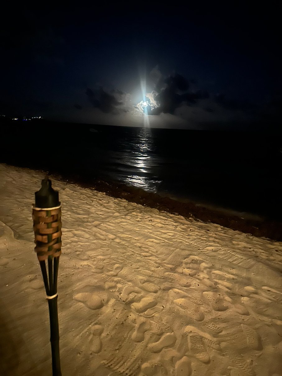 尼雷亚图兰-官方