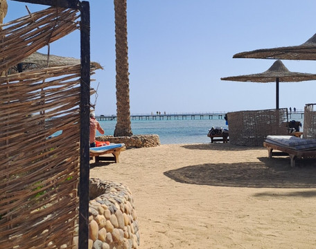 Elphinstone Reef-马萨阿拉姆必去景点