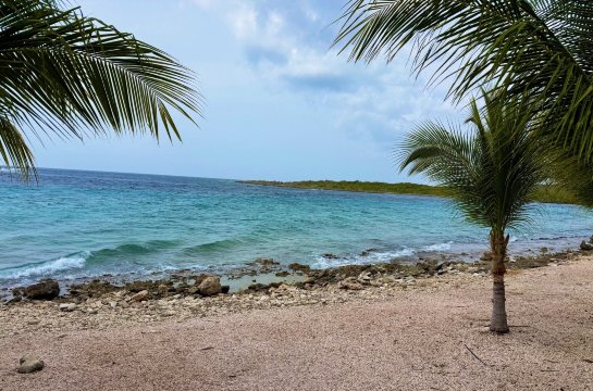 Sandals Royal Curacao-泳池