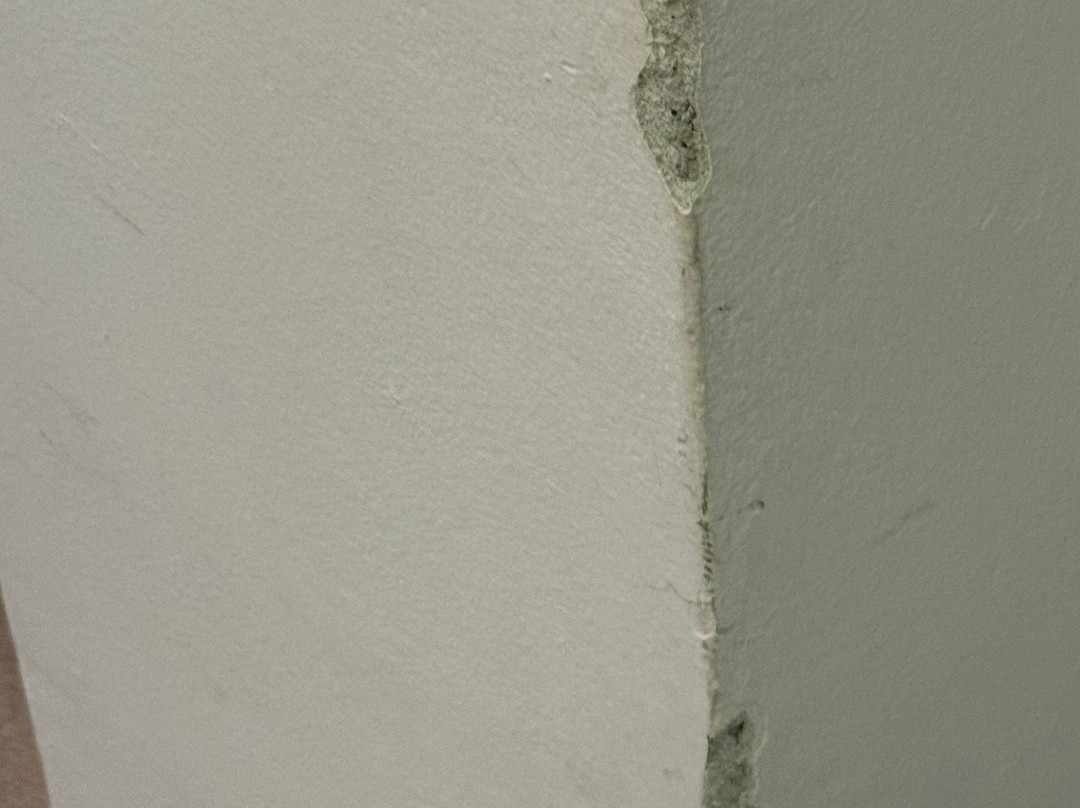 阿尔贝格克罗瑟乐餐厅旅馆主图