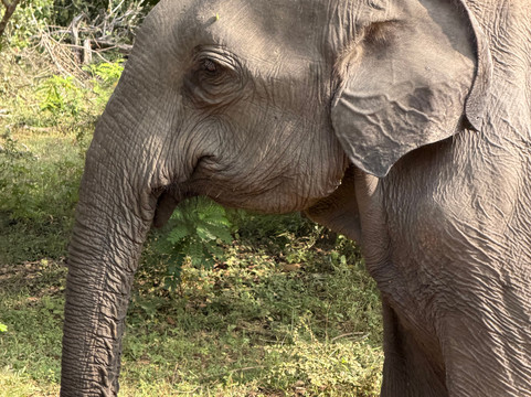 Southern Wild Safari-蒂瑟默哈拉默必去景点