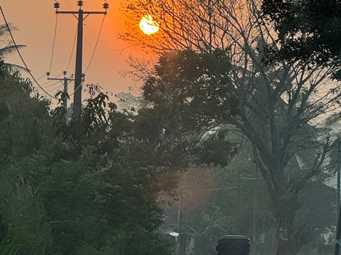 Bee Lanka Tours-康提必去景点