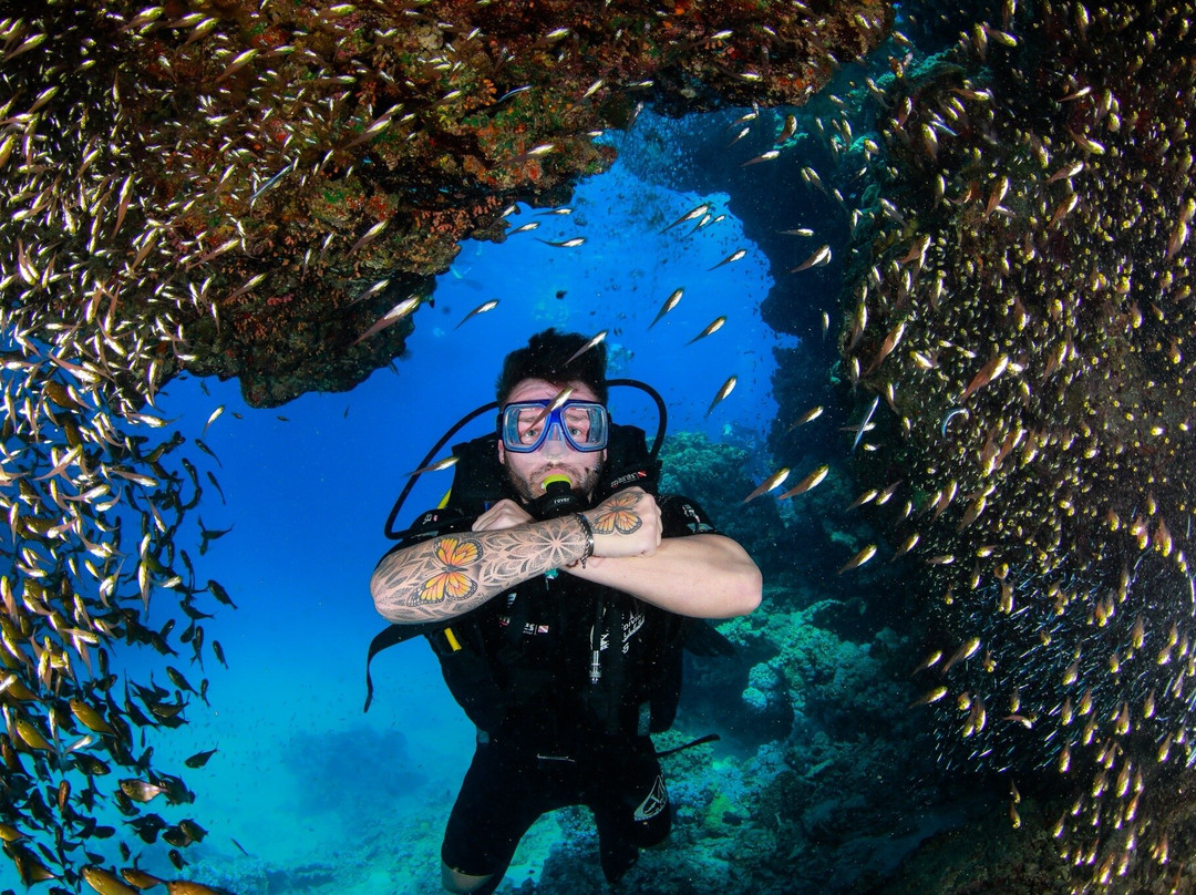 VIP Diving College-沙姆沙伊赫必去景点