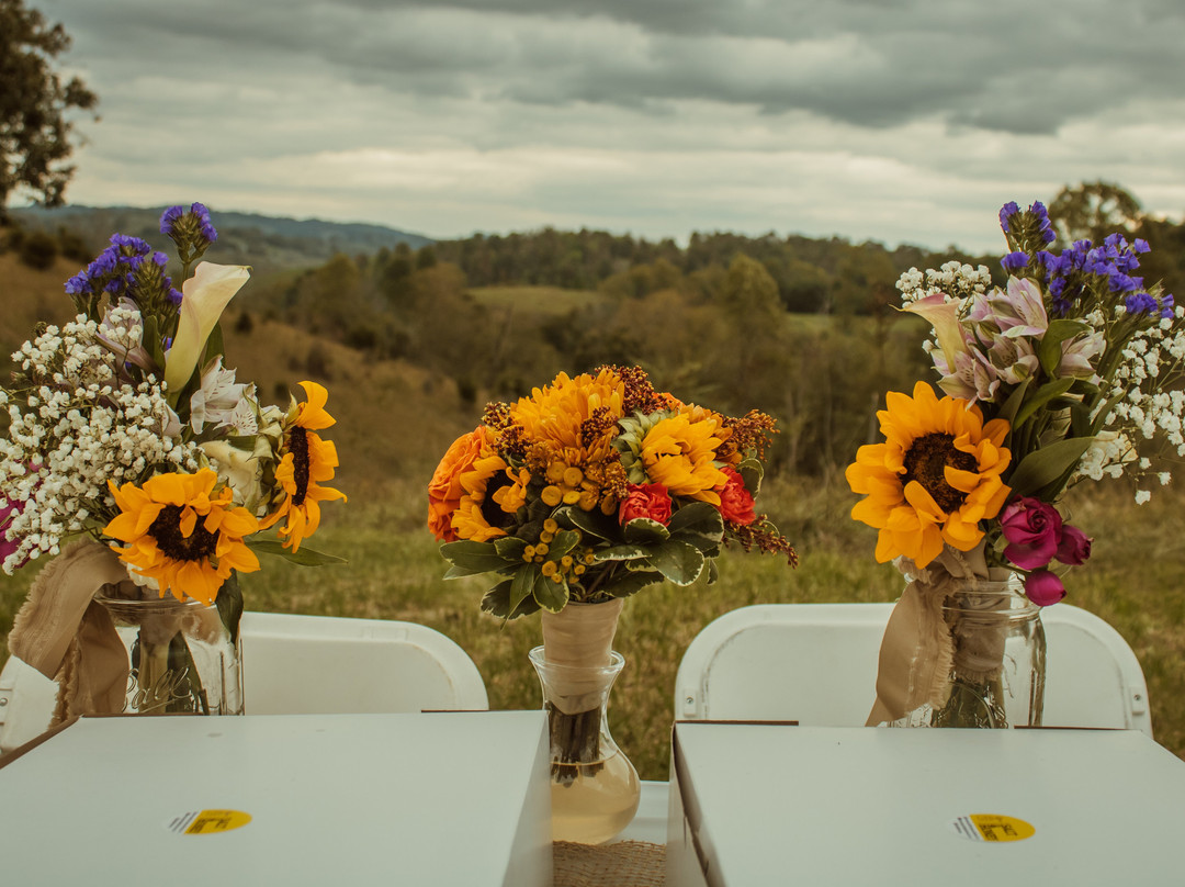 Meadow Haven Farm