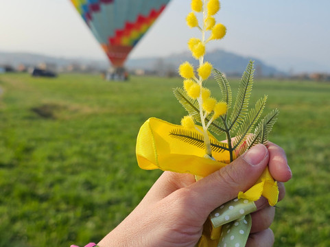 Slowfly-蒙多维必去景点