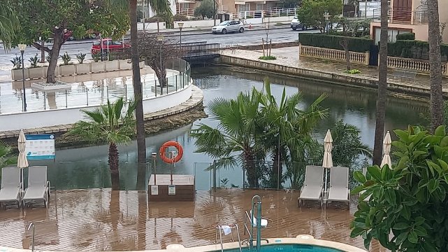 Alua Boccaccio-官方