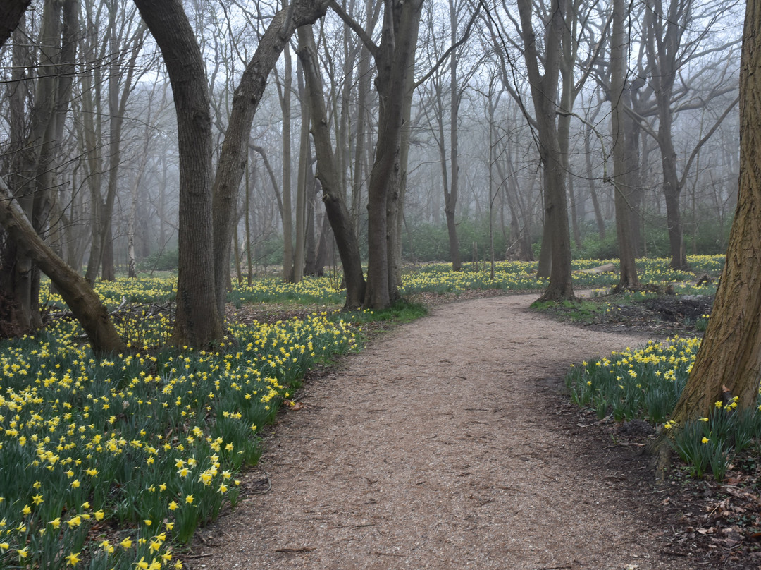 Uutveugele Oostkapelle, Outdoor Escape Routes-Oostkapelle必去景点